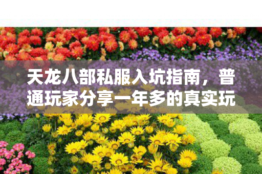 普通玩家分享一年多的真实玩法与避坑经验图片