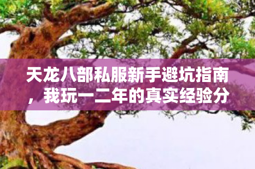 天龙八部私服新手避坑指南图片