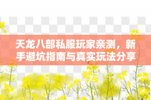 新手避坑指南与真实玩法分享图片