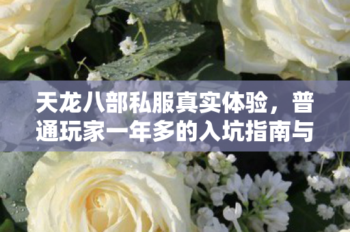 普通玩家一年多的入坑指南与避坑技巧图片