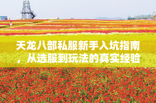 从选服到玩法的真实经验分享图片