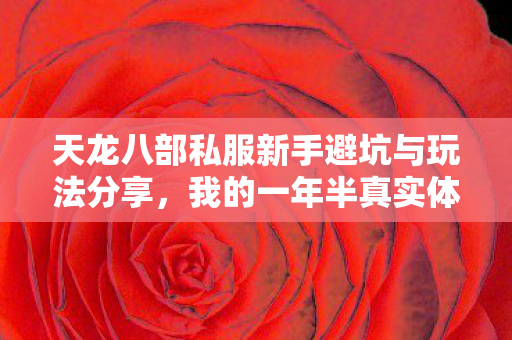天龙八部私服新手避坑与玩法分享图片