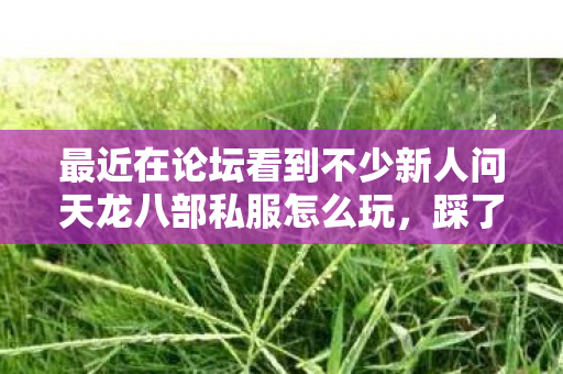 最近在论坛看到不少新人问天龙八部私服怎么玩图片