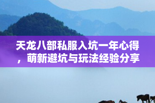 天龙八部私服入坑一年心得图片