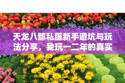 天龙八部私服新手避坑与玩法分享图片