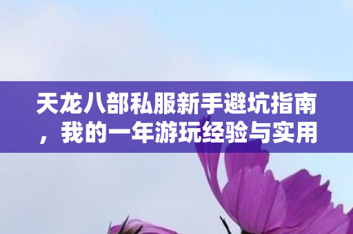 我的一年游玩经验与实用建议图片