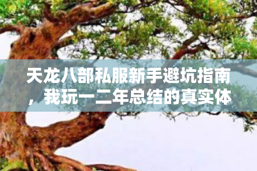我玩一二年总结的真实体验与实用技巧图片