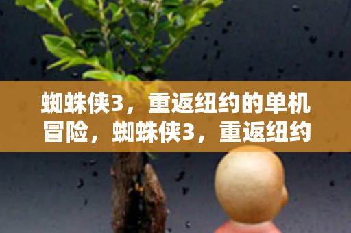 蜘蛛侠3,重返纽约的单机冒险,蜘蛛侠3,重返纽约的单机冒险之旅 蜘蛛侠3,重返纽约的单机冒险,蜘蛛侠3,重返纽约的单机冒险之旅