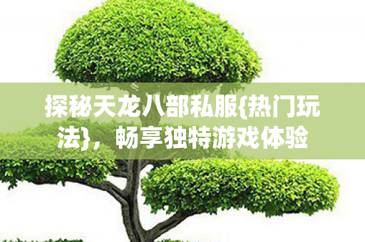 探秘天龙八部私服图片