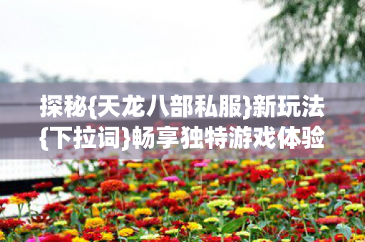 畅享独特游戏体验图片