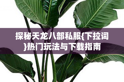 热门玩法与下载指南图片
