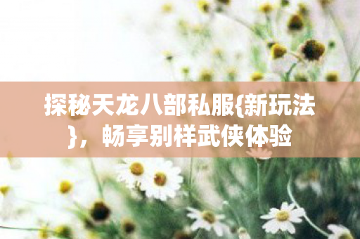 探秘天龙八部私服图片