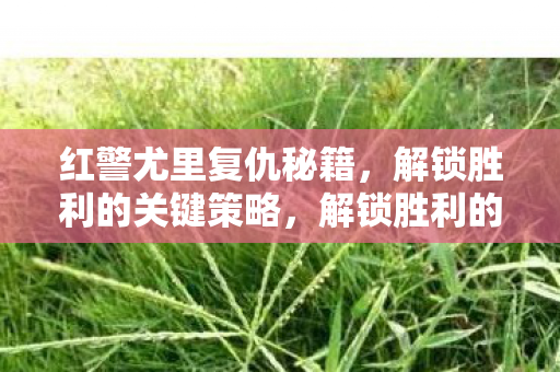 红警尤里复仇秘籍,解锁胜利的关键策略,解锁胜利的关键,红警尤里复仇秘籍 红警尤里复仇秘籍,解锁胜利的关键策略,解锁胜利的关键,红警尤里复仇秘籍