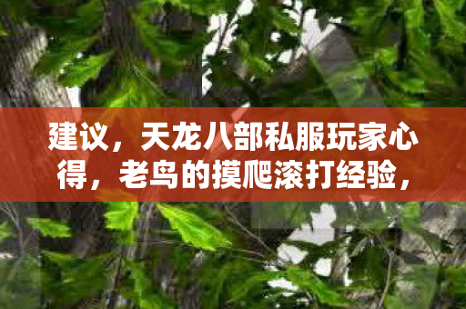 天龙八部私服玩家心得图片