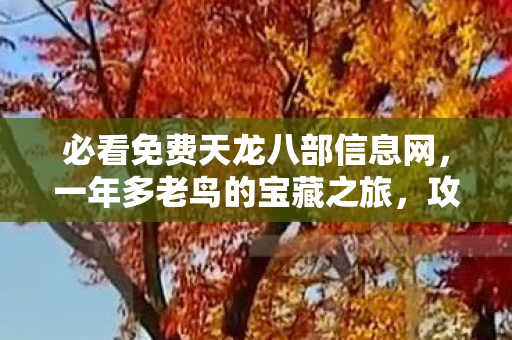 必看免费天龙八部信息网图片