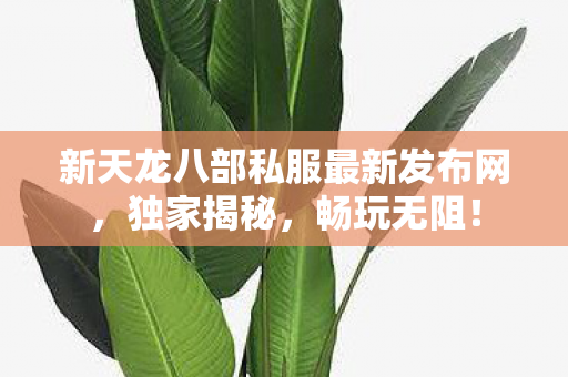新天龙八部私服最新发布网图片