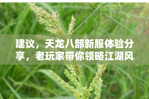 老玩家带你领略江湖风云图片