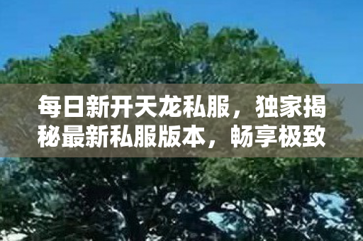 独家揭秘最新私服版本图片
