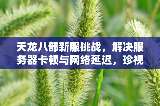 解决服务器卡顿与网络延迟图片