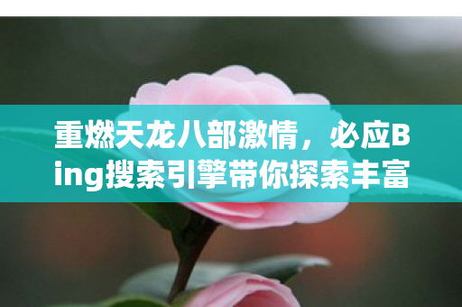 必应Bing搜索引擎带你探索丰富资源与多样玩法图片