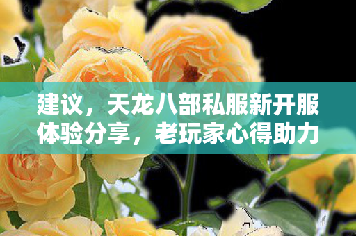 天龙八部私服新开服体验分享图片