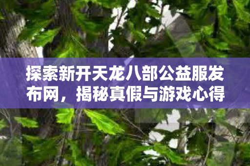 探索新开天龙八部公益服发布网图片
