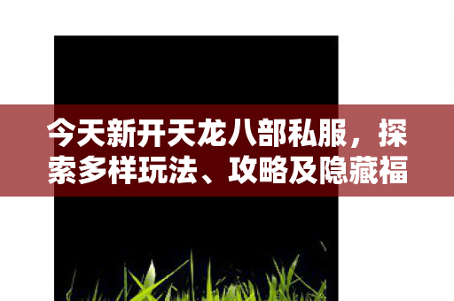 今天新开天龙八部私服图片