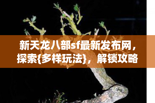 新天龙八部sf最新发布网图片