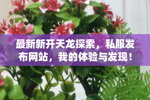 最新新开天龙探索图片