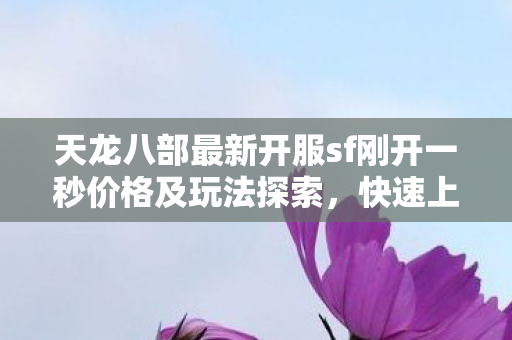 天龙八部最新开服sf刚开一秒价格及玩法探索图片