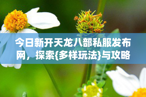 今日新开天龙八部私服发布网图片