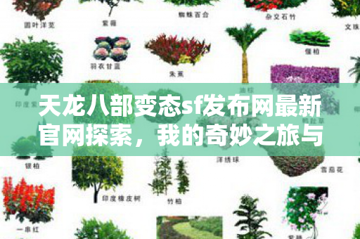 天龙八部变态sf发布网最新官网探索图片