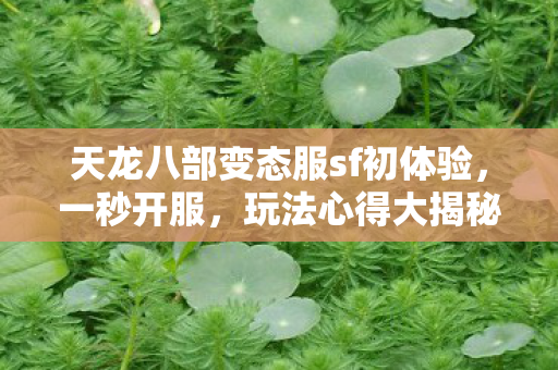 天龙八部变态服sf初体验图片