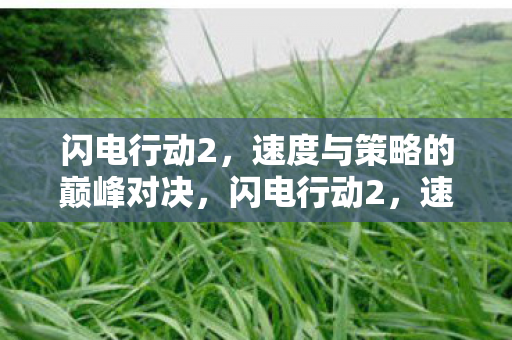 闪电行动2,速度与策略的巅峰对决,闪电行动2,速度与策略巅峰对决,谁将胜出? 闪电行动2,速度与策略的巅峰对决,闪电行动2,速度与策略巅峰对决,谁将胜出?