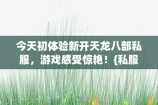 今天初体验新开天龙八部私服图片