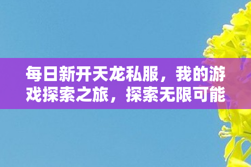 每日新开天龙私服图片