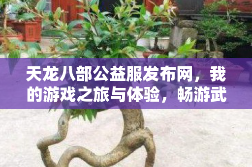 天龙八部公益服发布网图片