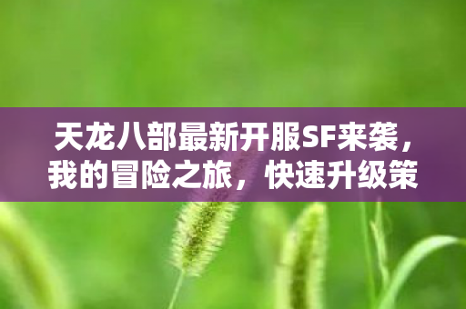 天龙八部最新开服SF来袭图片