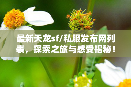 探索之旅与感受揭秘图片