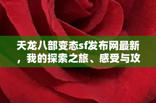 天龙八部变态sf发布网最新图片