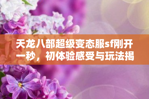 天龙八部超级变态服sf刚开一秒图片