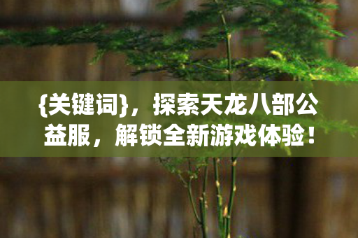探索天龙八部公益服图片