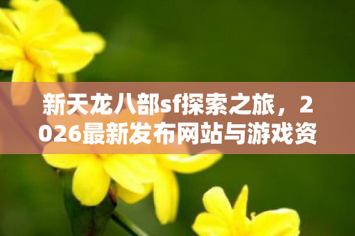 2026最新发布网站与游戏资讯一网打尽图片