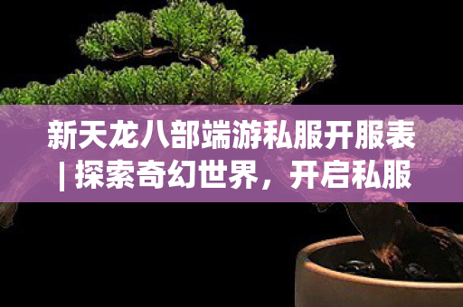 新天龙八部端游私服开服表图片
