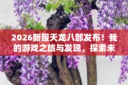 2026新服天龙八部发布图片