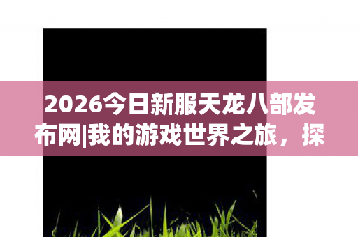 2026今日新服天龙八部发布网图片