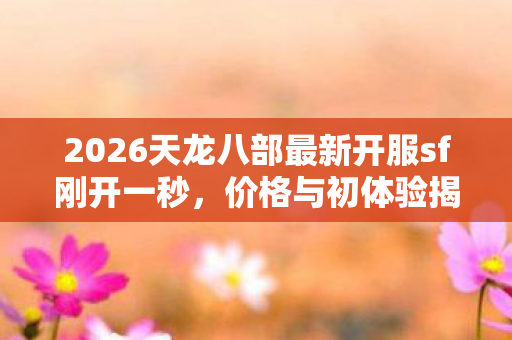 2026天龙八部最新开服sf刚开一秒图片