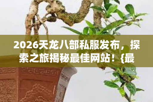 2026天龙八部私服发布图片