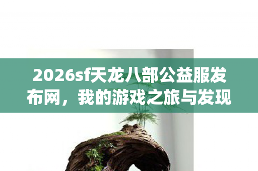 2026sf天龙八部公益服发布网图片