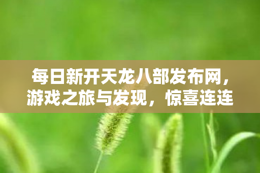 每日新开天龙八部发布网图片